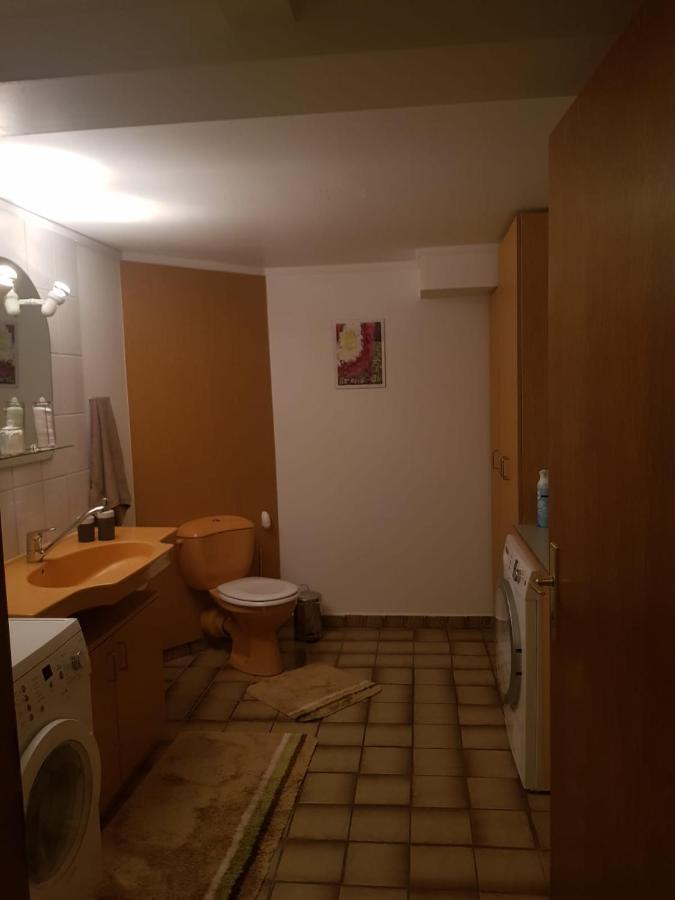 Gemuetliche Ferienwohnung Mit Kamin Und Sauna! Nistertal Kültér fotó