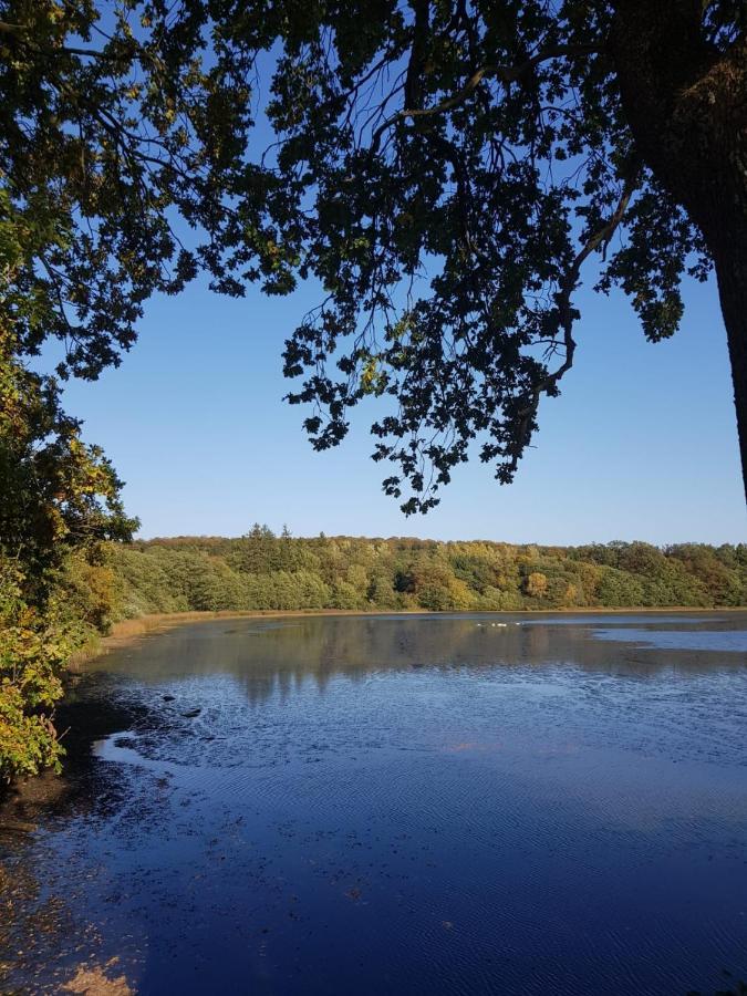 Gemuetliche Ferienwohnung Mit Kamin Und Sauna! Nistertal Kültér fotó