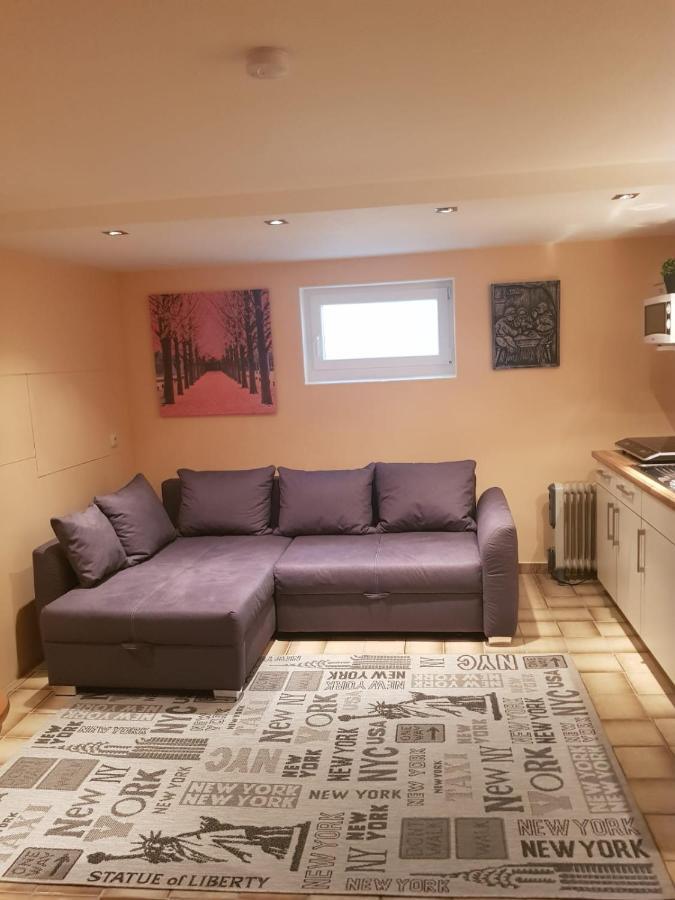 Gemuetliche Ferienwohnung Mit Kamin Und Sauna! Nistertal Kültér fotó