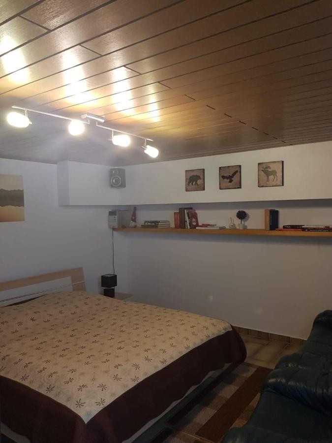 Gemuetliche Ferienwohnung Mit Kamin Und Sauna! Nistertal Kültér fotó